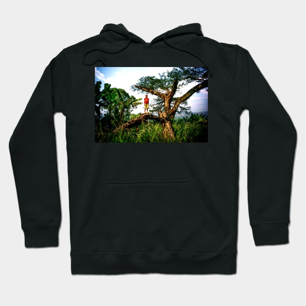 Boy on tree-amazing images Hoodie by NP-Pedia